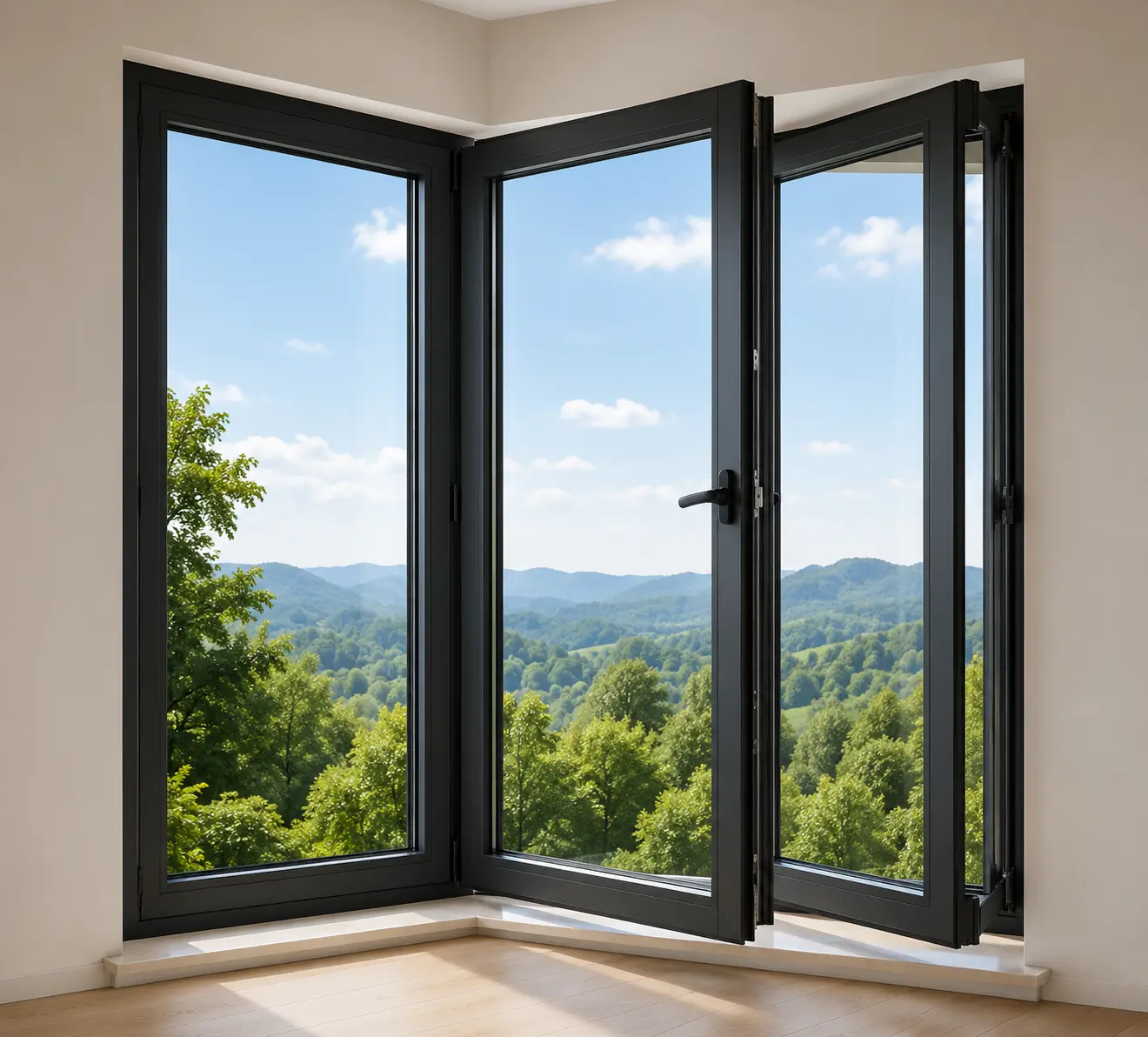 French Doors