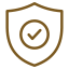 Protection Icon