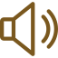 SilentSeal Icon